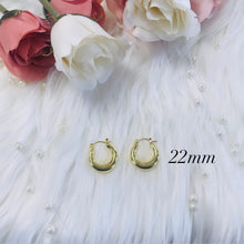 Load image into Gallery viewer, The Mini Classy Hoop Earrings